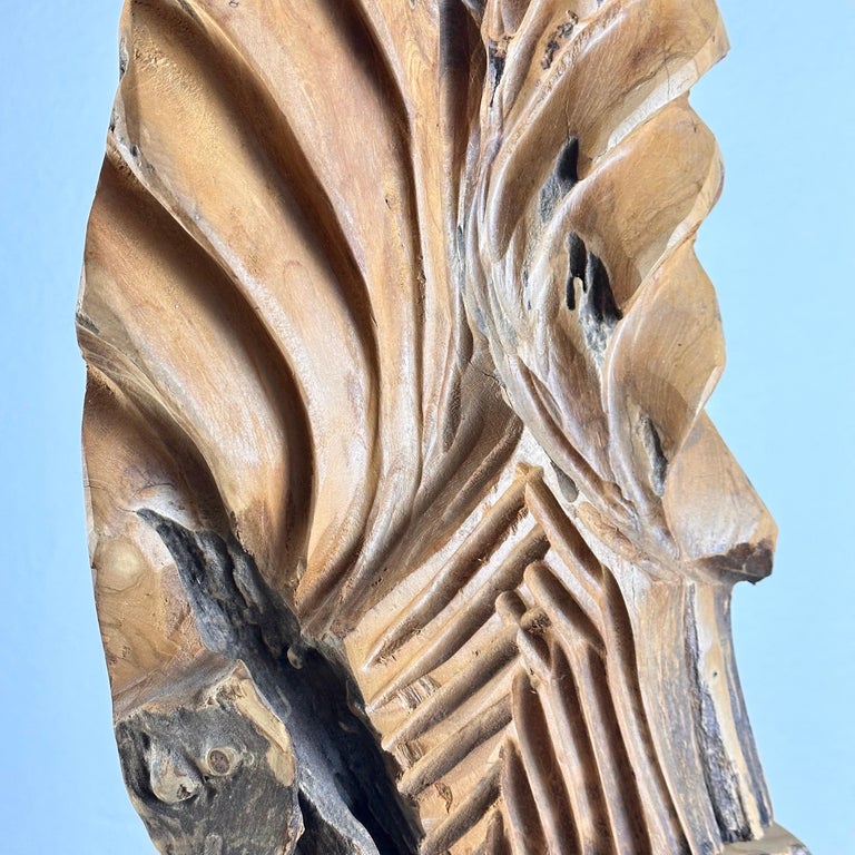 Exquisite Italian Phytomorphic Abstract Sculpture in Natural Ash, 1960s