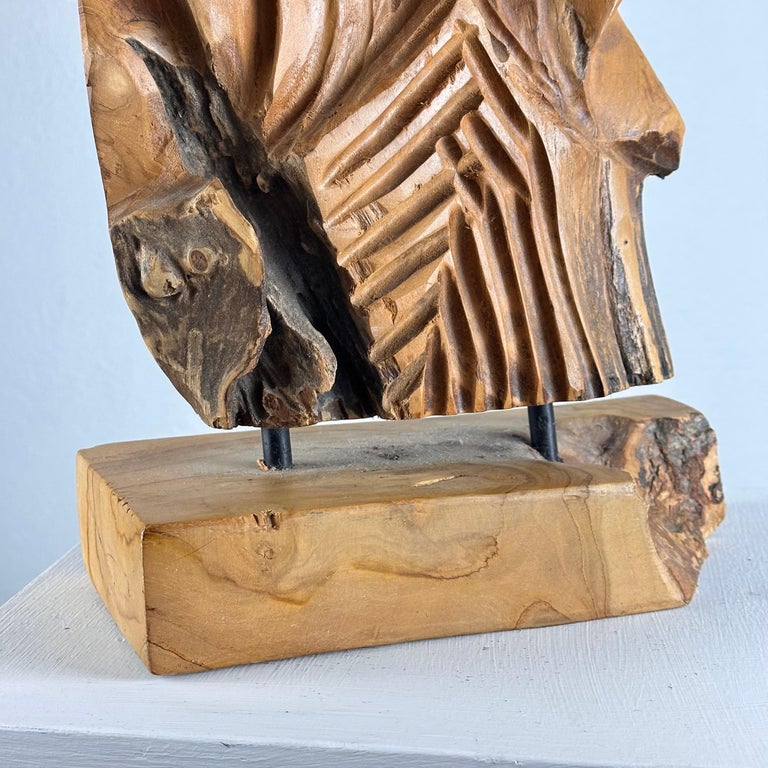 Exquisite Italian Phytomorphic Abstract Sculpture in Natural Ash, 1960s