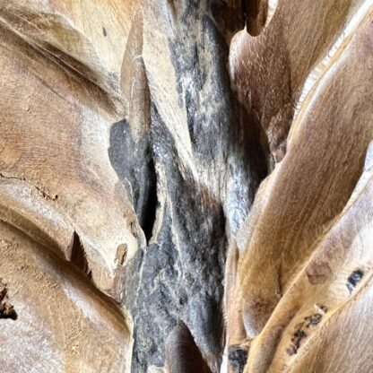Exquisite Italian Phytomorphic Abstract Sculpture in Natural Ash, 1960s