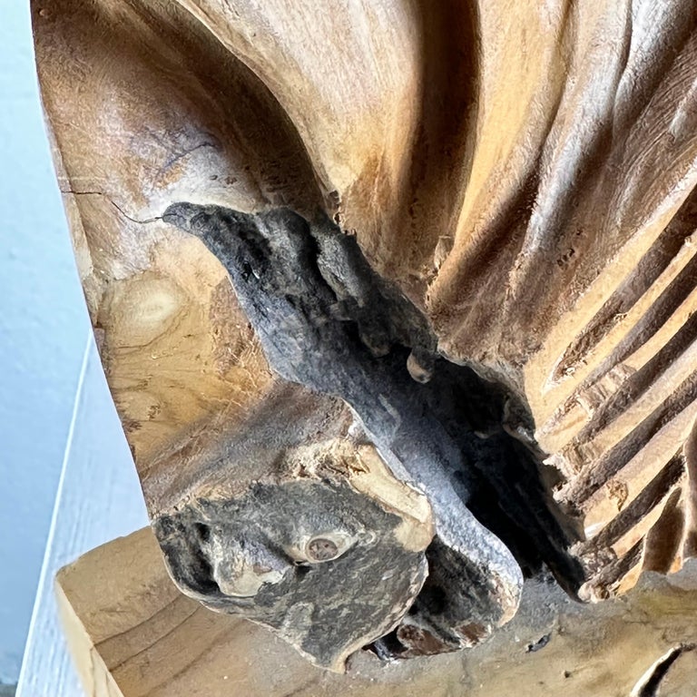 Exquisite Italian Phytomorphic Abstract Sculpture in Natural Ash, 1960s