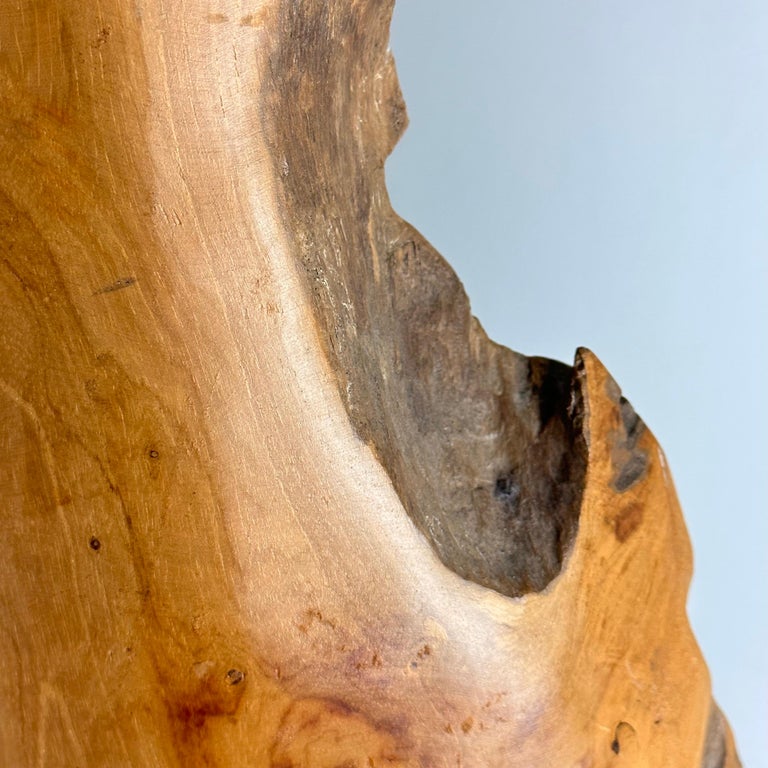Exquisite Italian Phytomorphic Abstract Sculpture in Natural Ash, 1960s