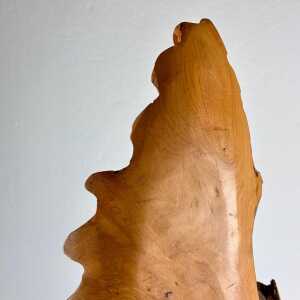 Exquisite Italian Phytomorphic Abstract Sculpture in Natural Ash, 1960s