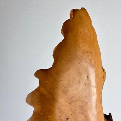 Exquisite Italian Phytomorphic Abstract Sculpture in Natural Ash, 1960s