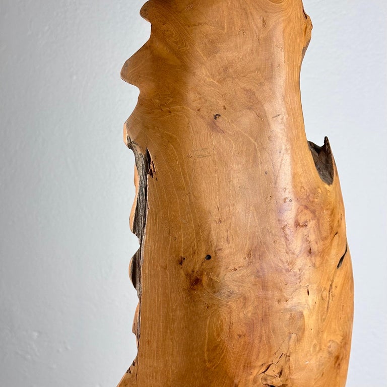 Exquisite Italian Phytomorphic Abstract Sculpture in Natural Ash, 1960s
