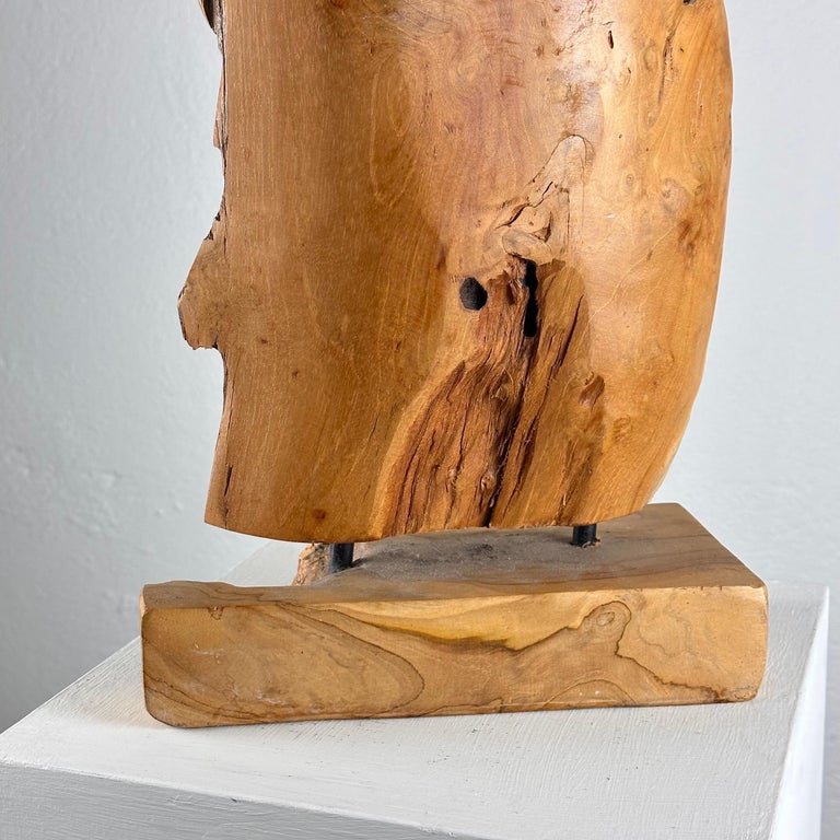 Exquisite Italian Phytomorphic Abstract Sculpture in Natural Ash, 1960s