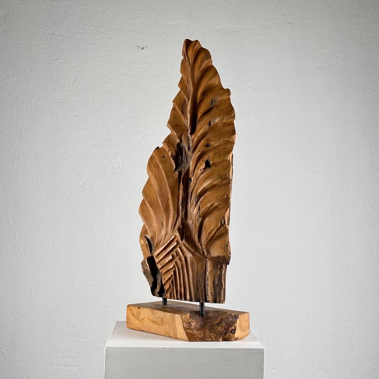 Exquisite Italian Phytomorphic Abstract Sculpture in Natural Ash, 1960s