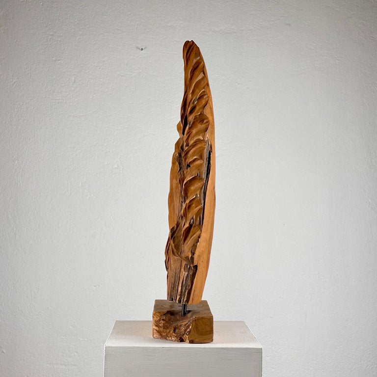 Exquisite Italian Phytomorphic Abstract Sculpture in Natural Ash, 1960s