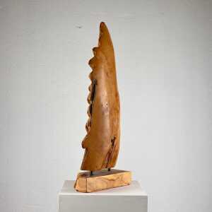Exquisite Italian Phytomorphic Abstract Sculpture in Natural Ash, 1960s