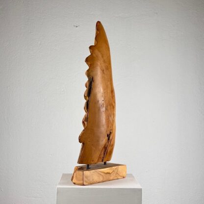 Exquisite Italian Phytomorphic Abstract Sculpture in Natural Ash, 1960s