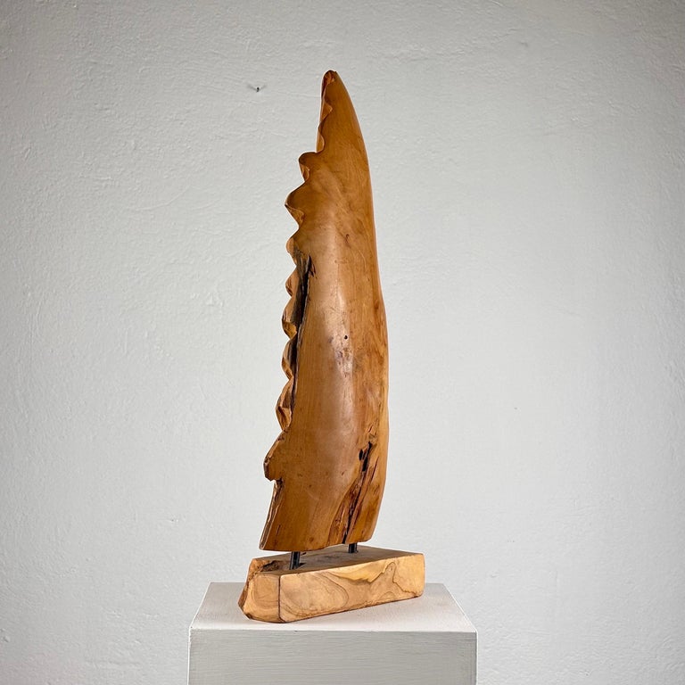 Exquisite Italian Phytomorphic Abstract Sculpture in Natural Ash, 1960s
