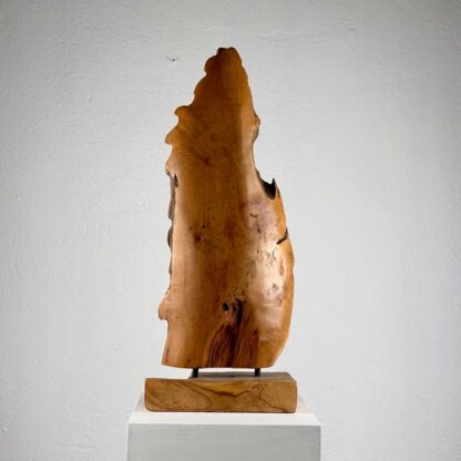 Exquisite Italian Phytomorphic Abstract Sculpture in Natural Ash, 1960s