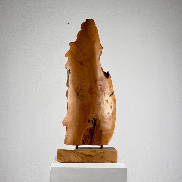 Exquisite Italian Phytomorphic Abstract Sculpture in Natural Ash, 1960s