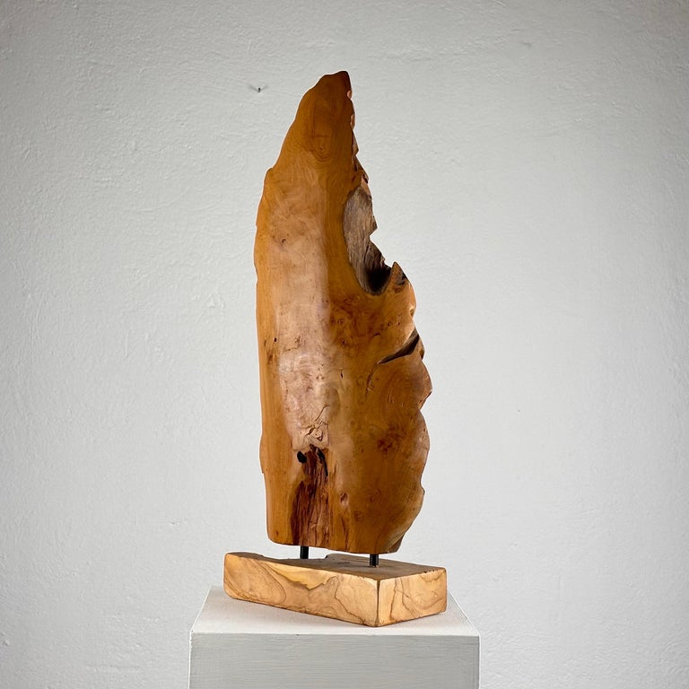 Exquisite Italian Phytomorphic Abstract Sculpture in Natural Ash, 1960s