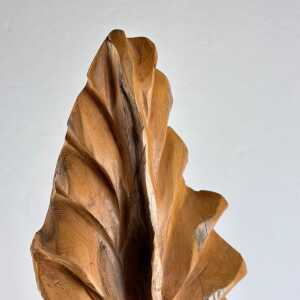 Exquisite Italian Phytomorphic Abstract Sculpture in Natural Ash, 1960s