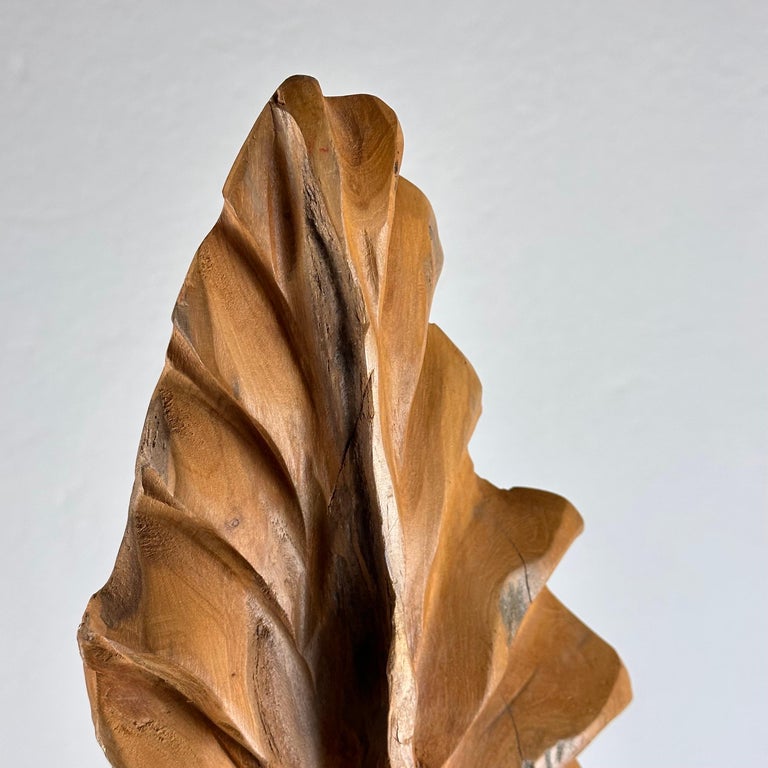 Exquisite Italian Phytomorphic Abstract Sculpture in Natural Ash, 1960s