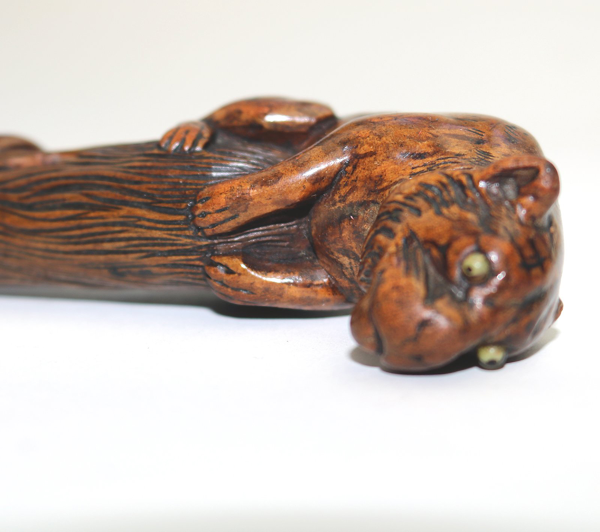 A good carved boxwood novelty Parasol Handle of a tiger glass eyes C.1900