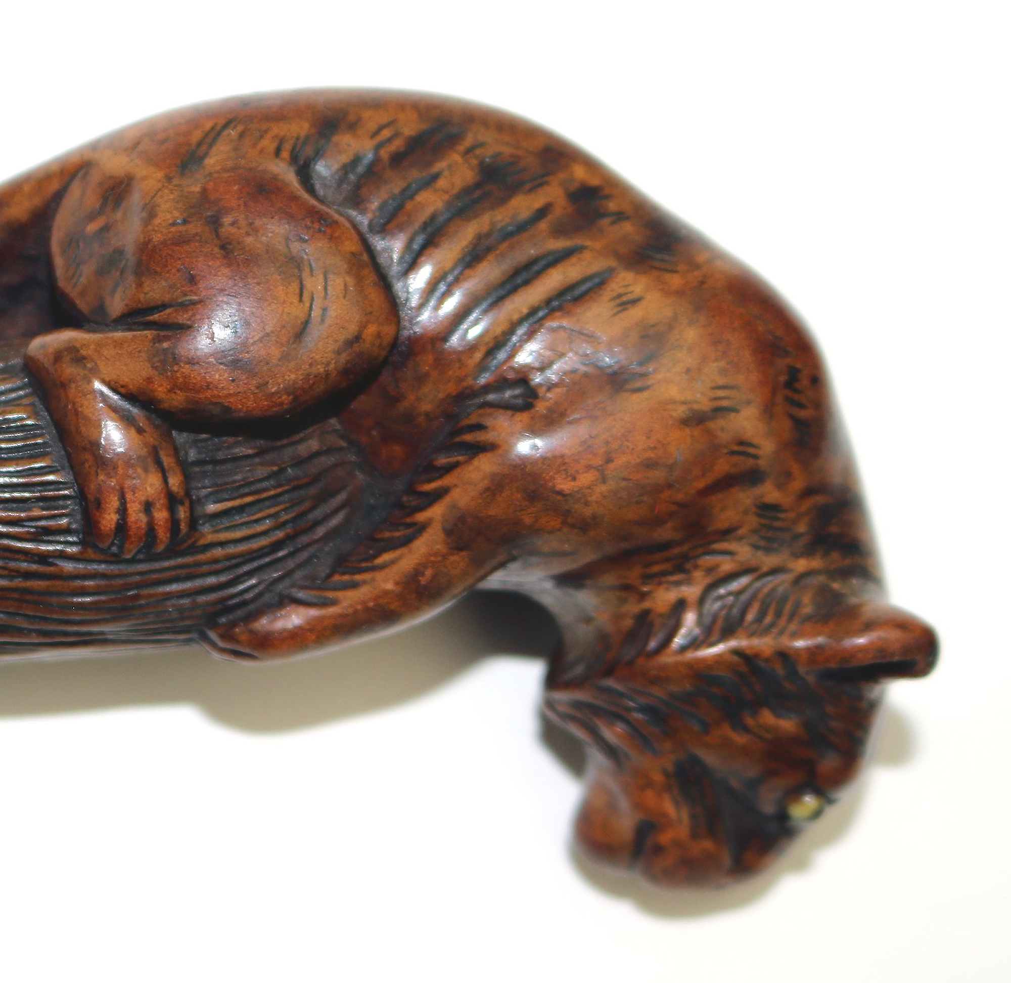A good carved boxwood novelty Parasol Handle of a tiger glass eyes C.1900