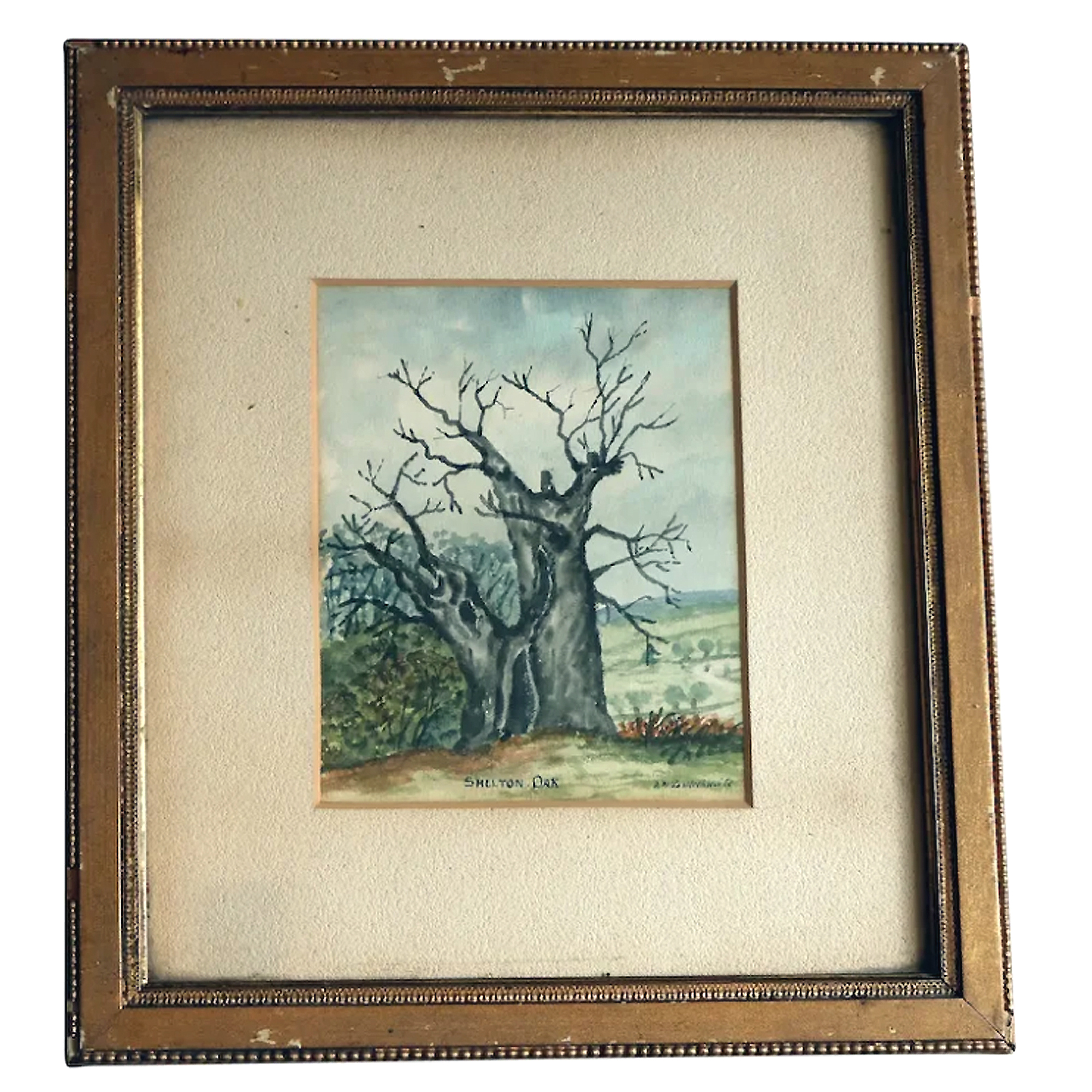 Antique historical Watercolour by Postlethwaite of Shelton Oak Shrewsbury C.1911
