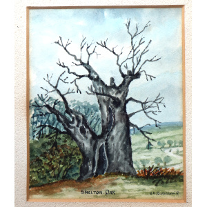 Antique historical Watercolour by Postlethwaite of Shelton Oak Shrewsbury C.1911
