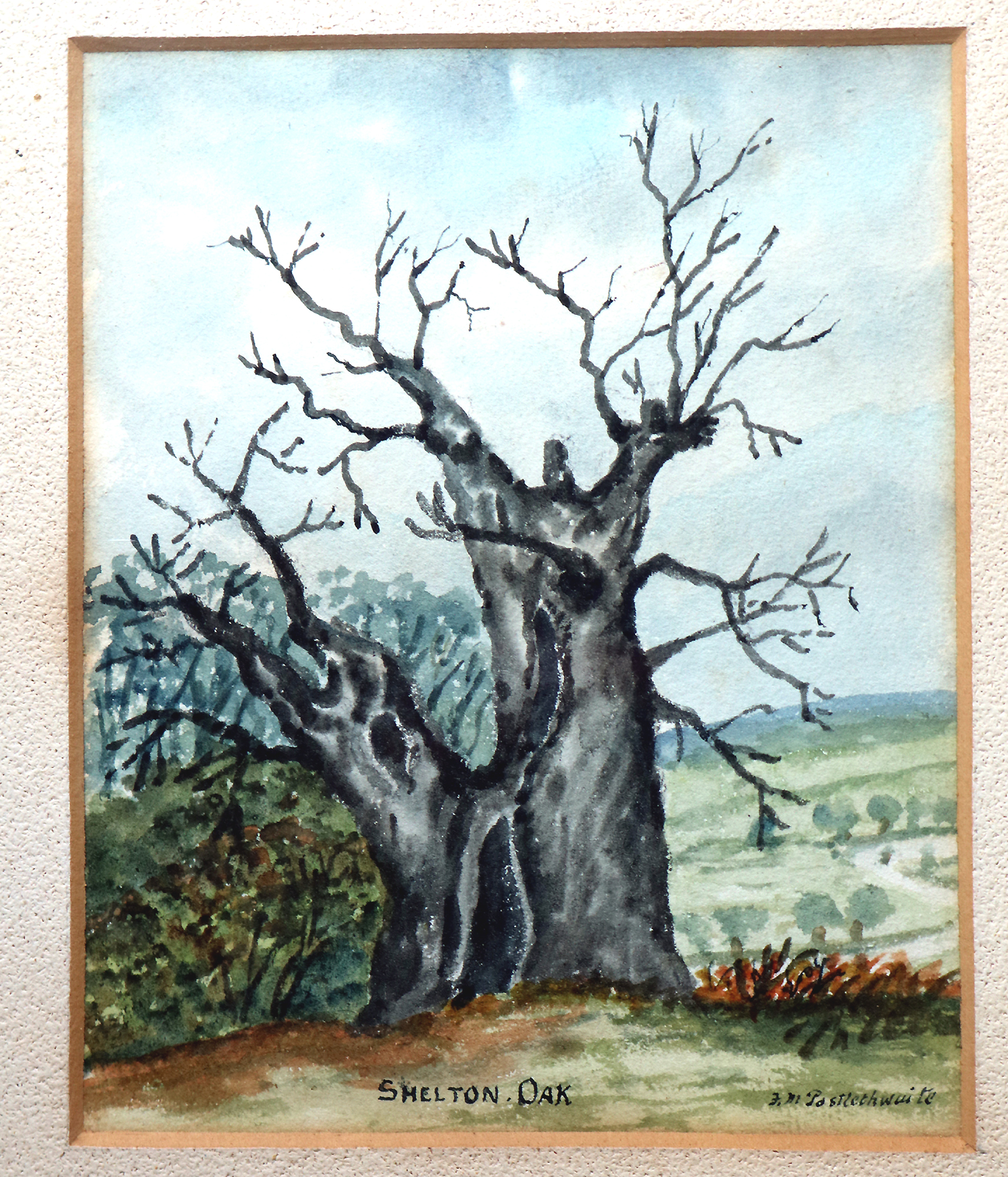 Antique historical Watercolour by Postlethwaite of Shelton Oak Shrewsbury C.1911