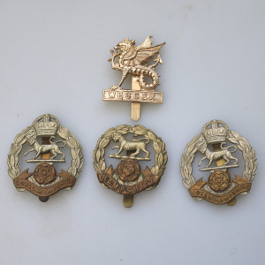 Vintage 4X UK Military Cap Badges - Hampshire - Wessex - Royal Hampshire C.20thC