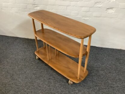 Ercol Windsor 361 Trolley Bookcase, Baby Giraffe.
