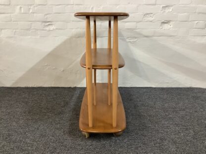 Ercol Windsor 361 Trolley Bookcase, Baby Giraffe.