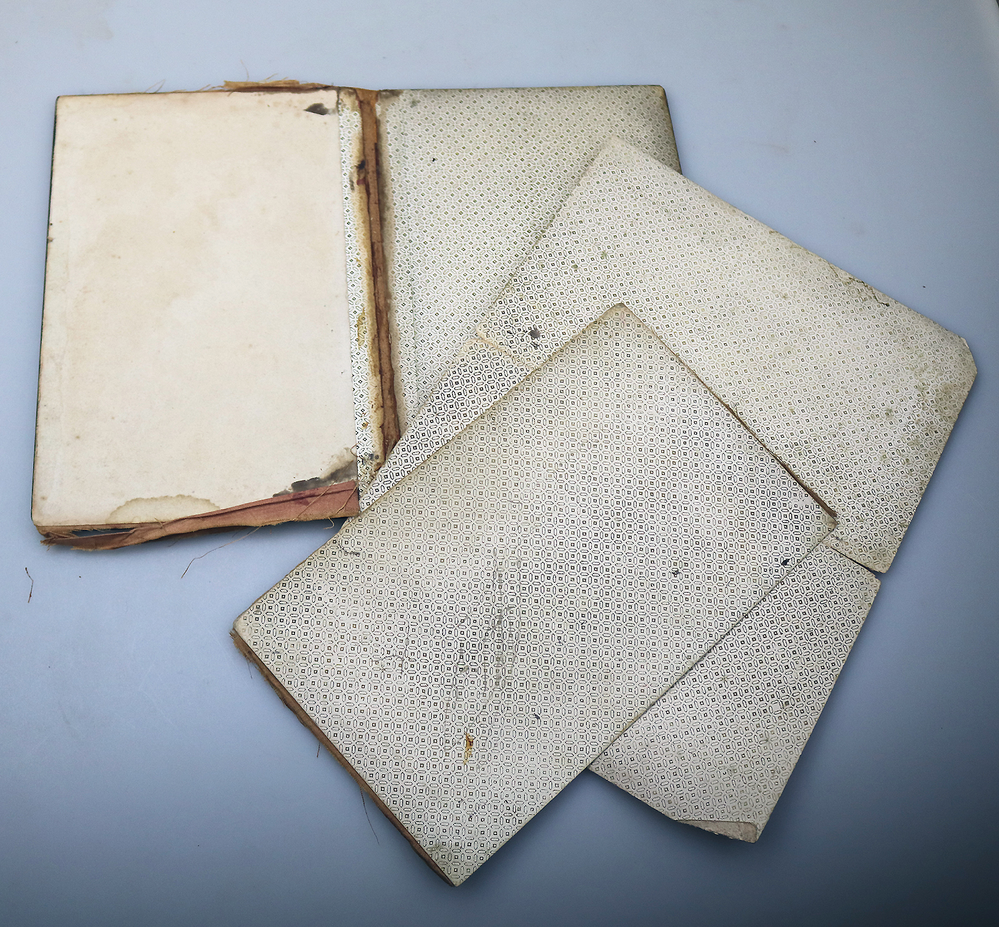 A good antique Papier Mache & Mother of Pearl hand painted Folio Blotter C.19thC