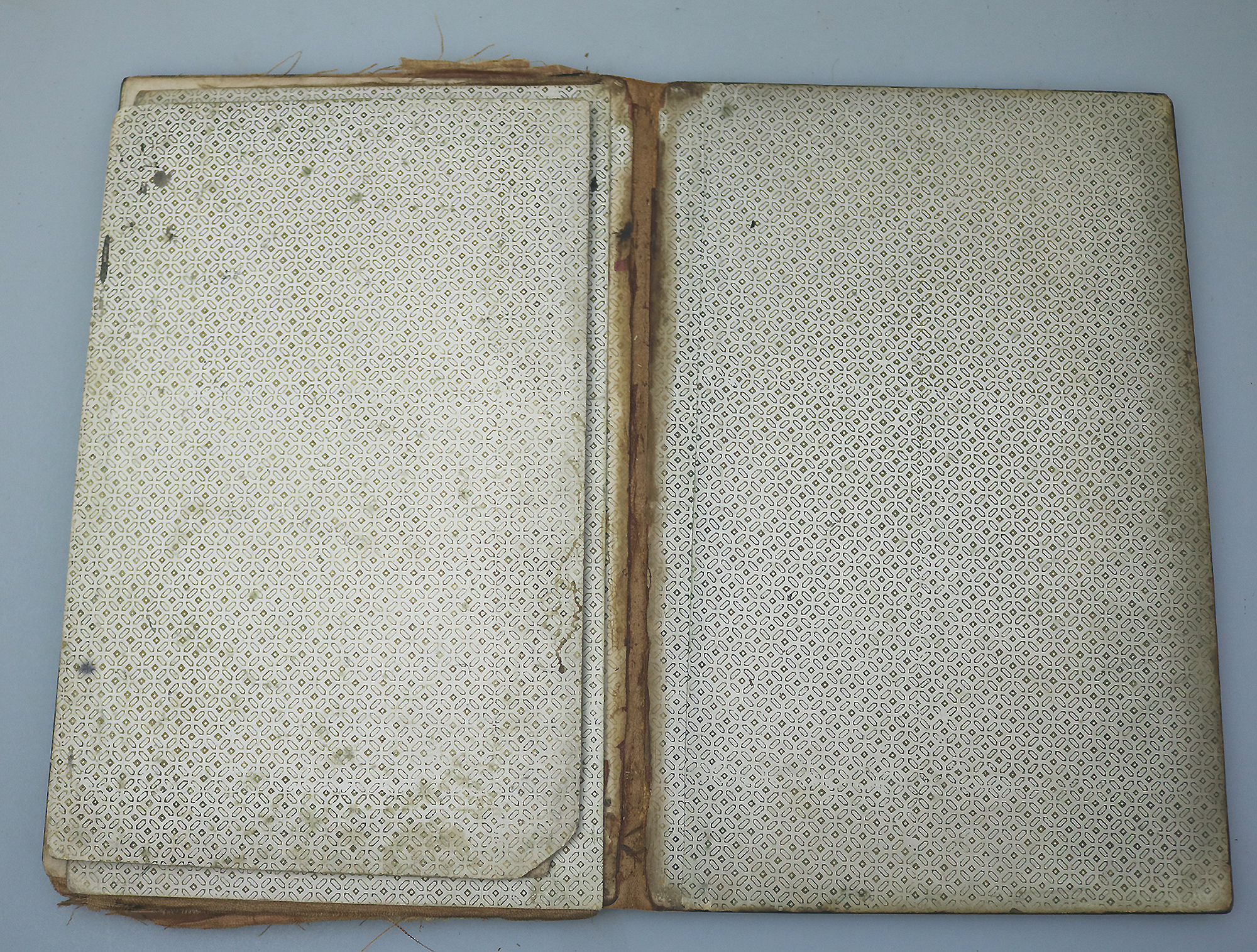 A good antique Papier Mache & Mother of Pearl hand painted Folio Blotter C.19thC