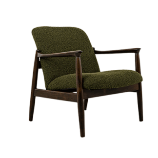 Vintage Armchair By Edmund Homa, Poland, 1960s