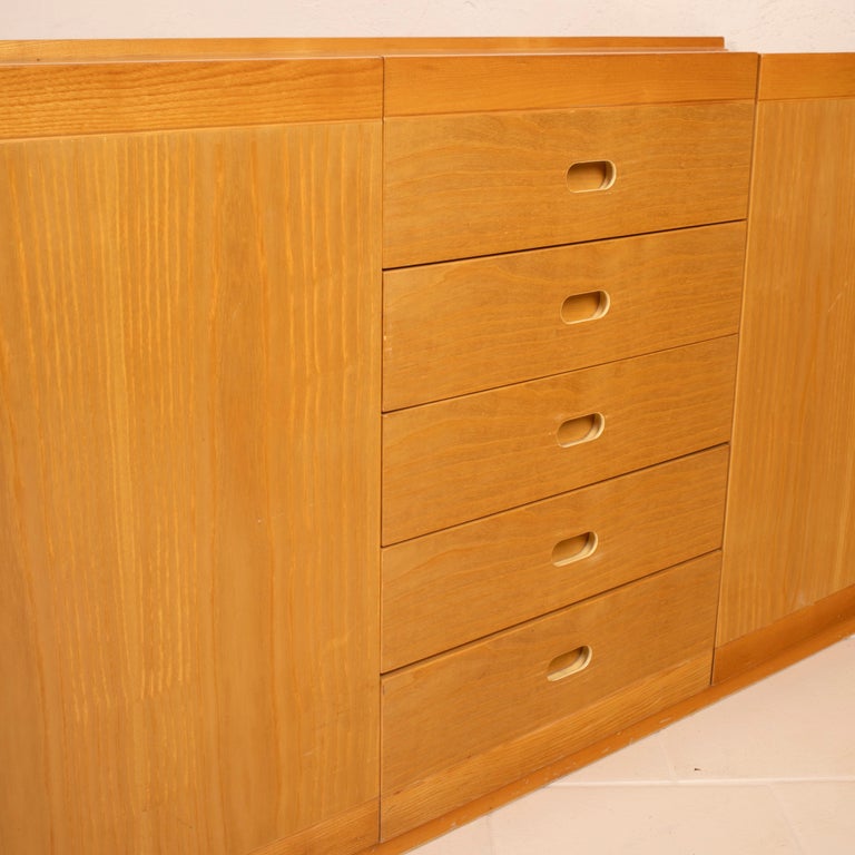 Fiorenza" sideboard by Tito Agnoli for Molteni 1970