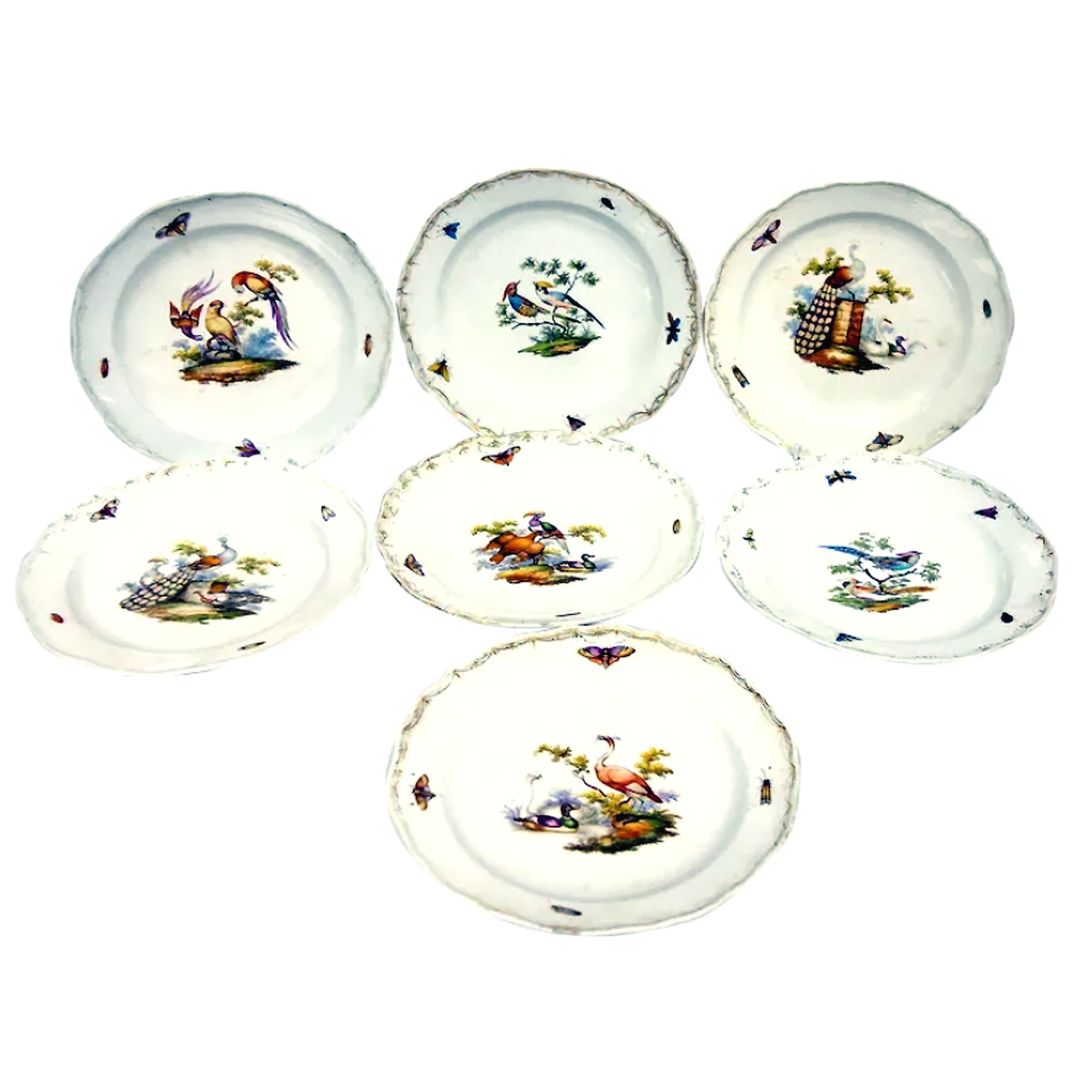7X antique Meissen porcelain plates hand-painted with insects and birds C.19thC