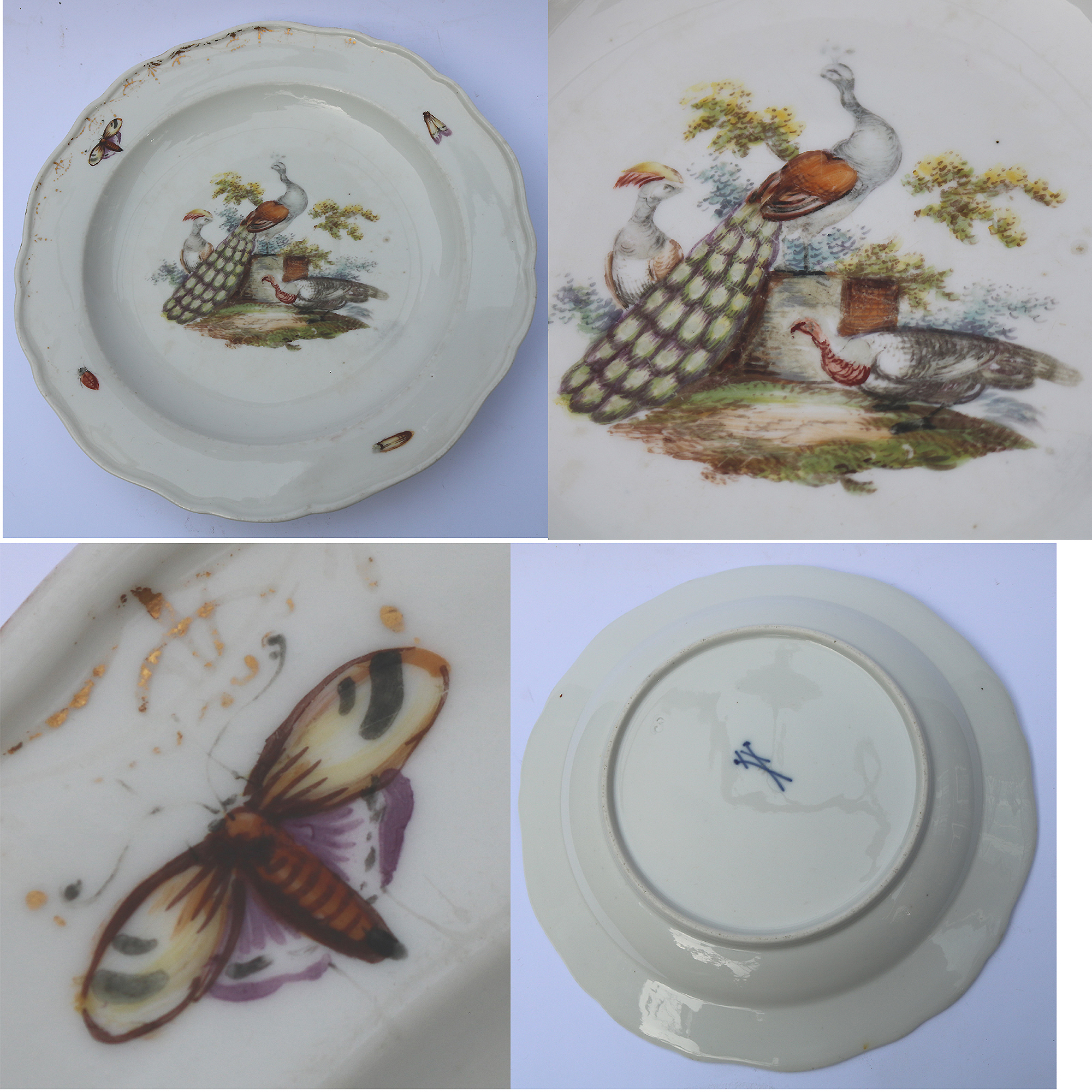 7X antique Meissen porcelain plates hand-painted with insects and birds C.19thC