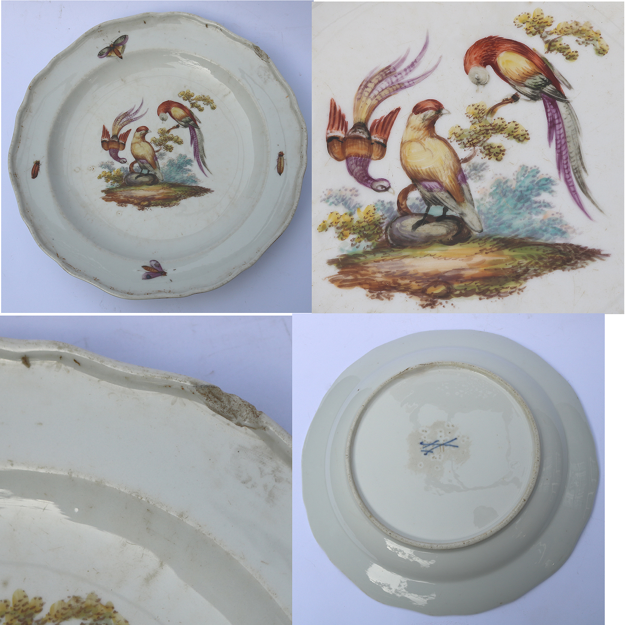 7X antique Meissen porcelain plates hand-painted with insects and birds C.19thC