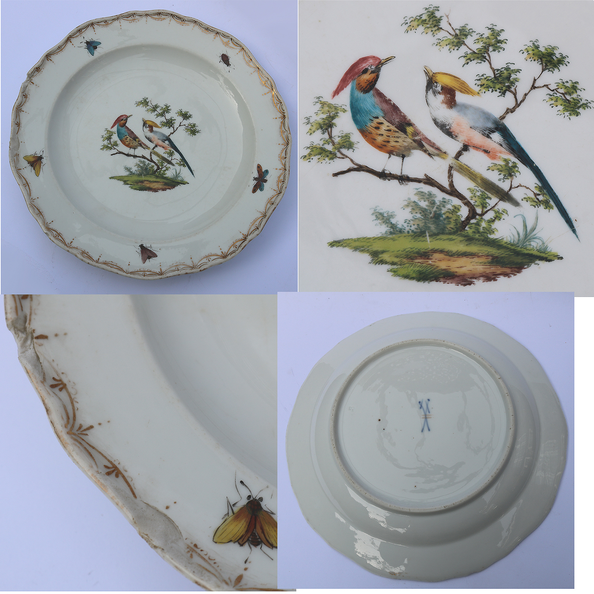 7X antique Meissen porcelain plates hand-painted with insects and birds C.19thC