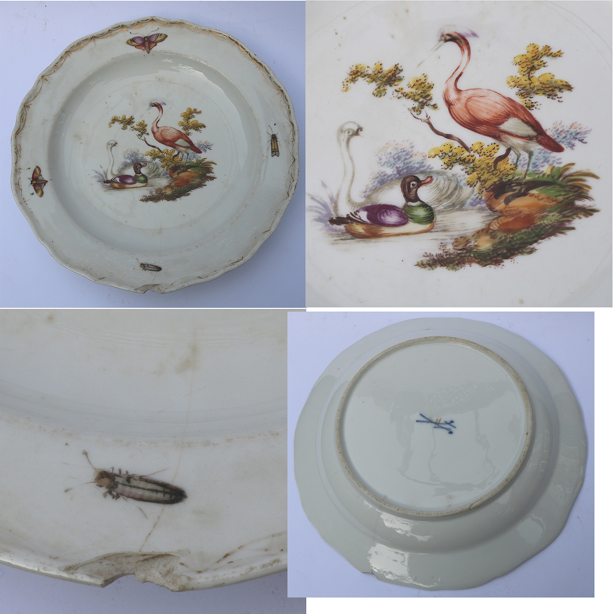 7X antique Meissen porcelain plates hand-painted with insects and birds C.19thC