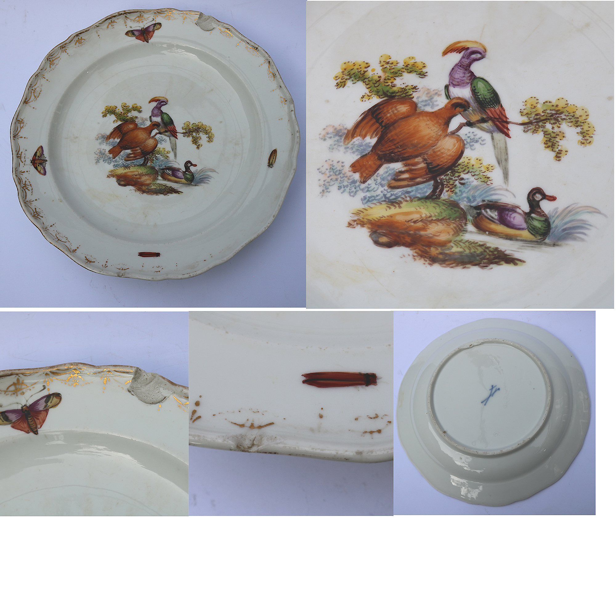 7X antique Meissen porcelain plates hand-painted with insects and birds C.19thC