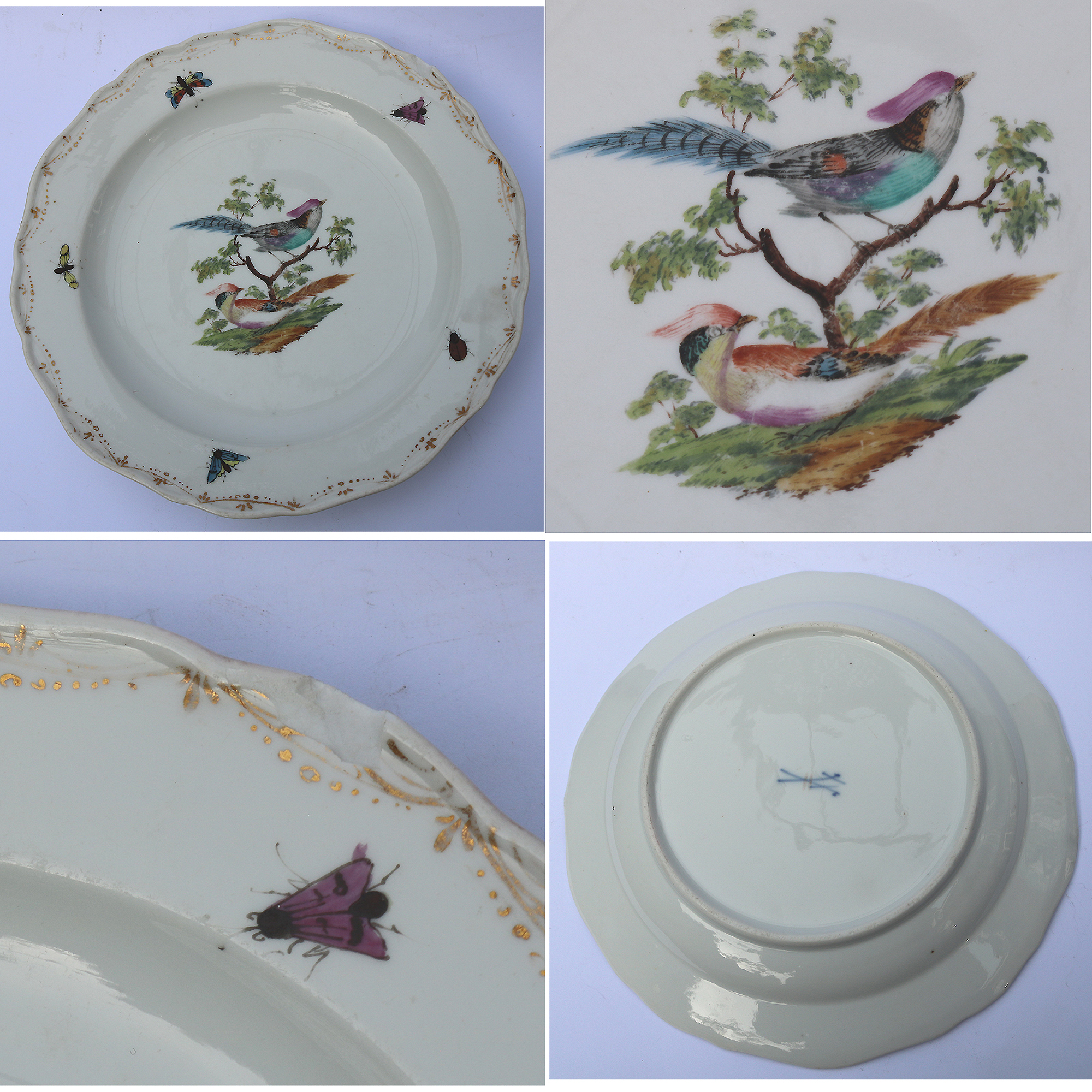 7X antique Meissen porcelain plates hand-painted with insects and birds C.19thC