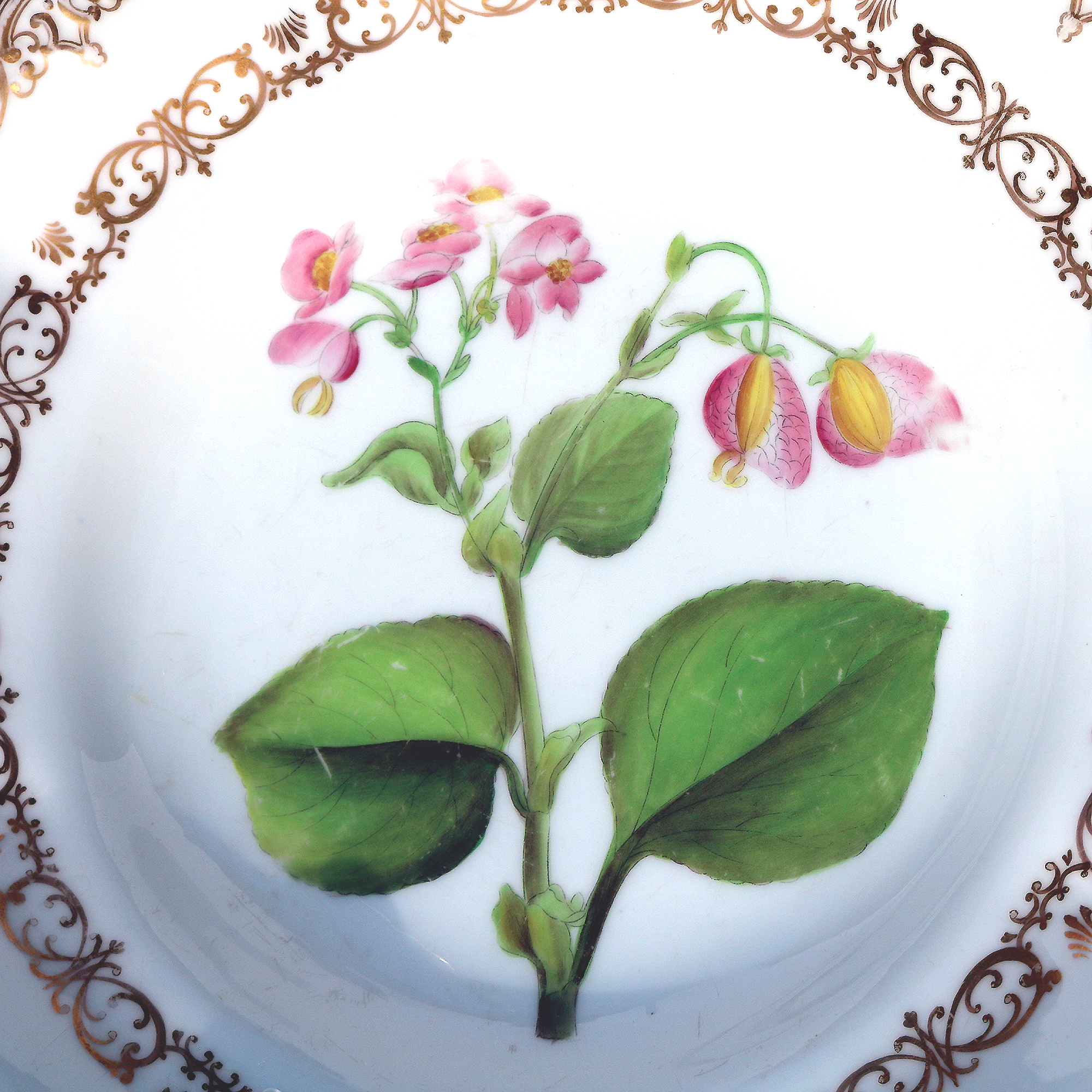 Antique Copeland & Garrett late Spode hand-painted porcelain Dish Bowl 1 C.1840