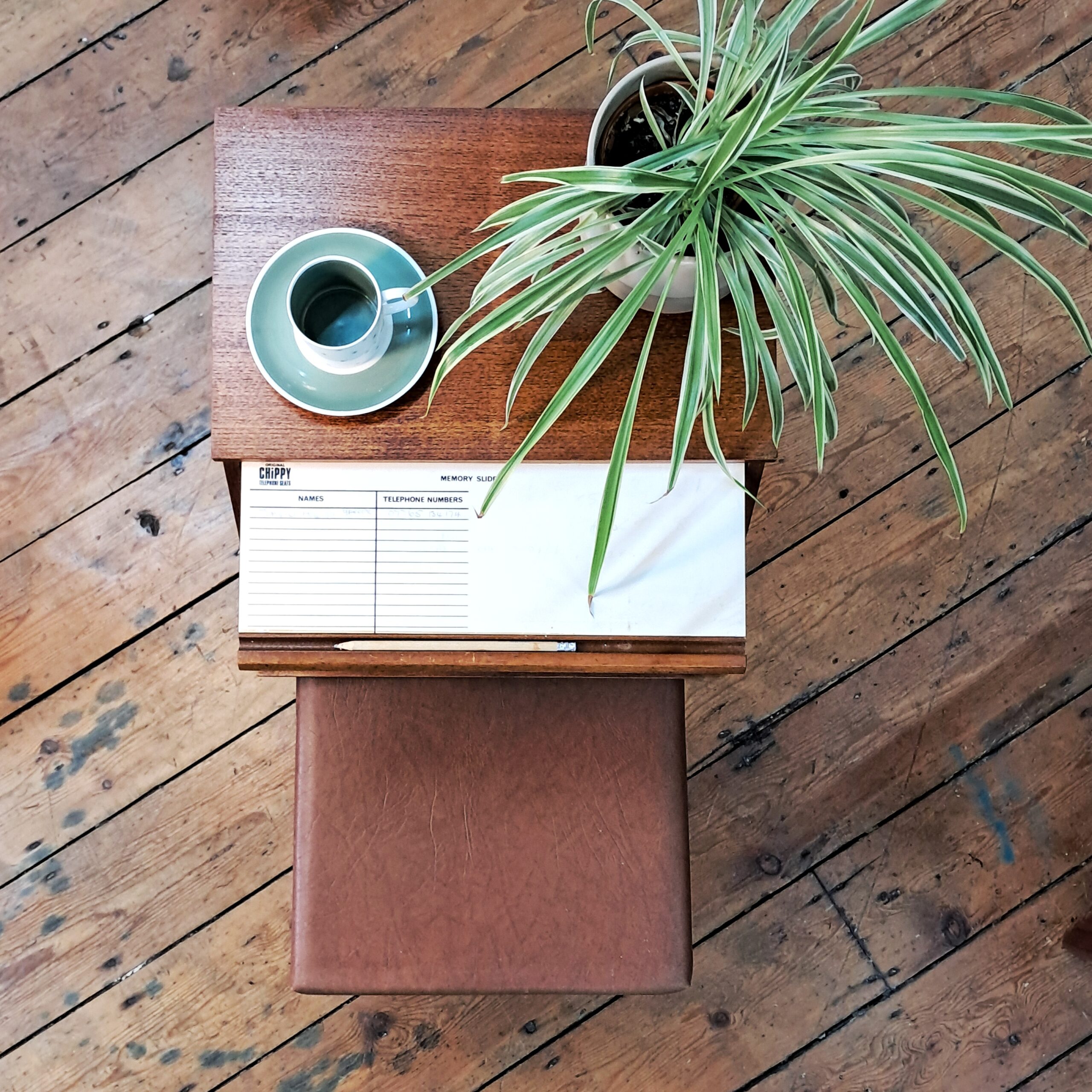 Super Cute and Handy Chippy telephone table!