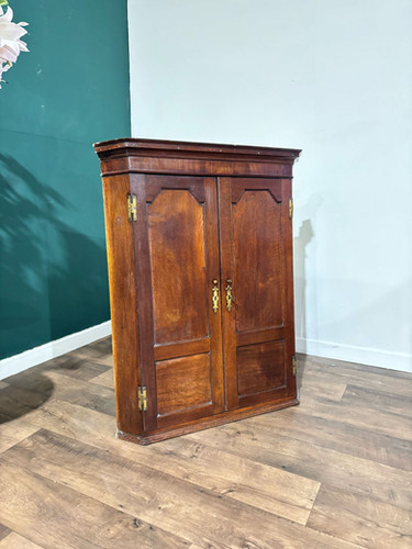 19th Century Mahogany Shelved Corner Cabinet