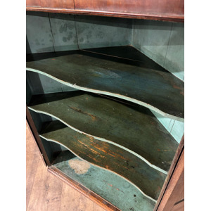 19th Century Mahogany Shelved Corner Cabinet
