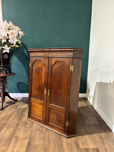 19th Century Mahogany Shelved Corner Cabinet