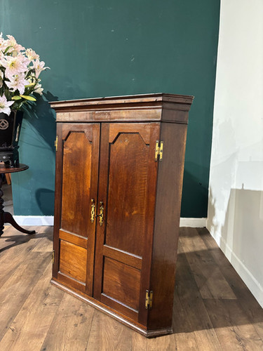 19th Century Mahogany Shelved Corner Cabinet
