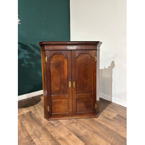 19th Century Mahogany Shelved Corner Cabinet