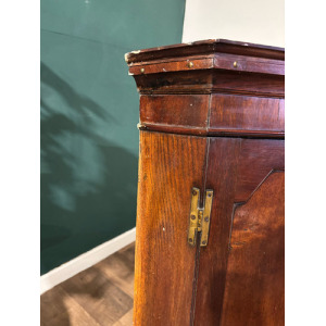 19th Century Mahogany Shelved Corner Cabinet