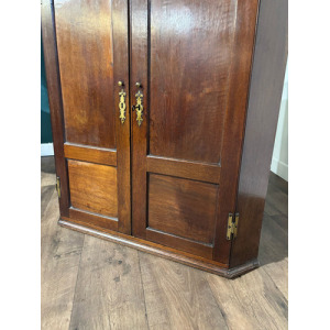 19th Century Mahogany Shelved Corner Cabinet