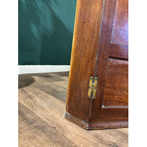 19th Century Mahogany Shelved Corner Cabinet