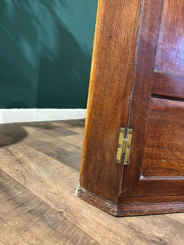 19th Century Mahogany Shelved Corner Cabinet