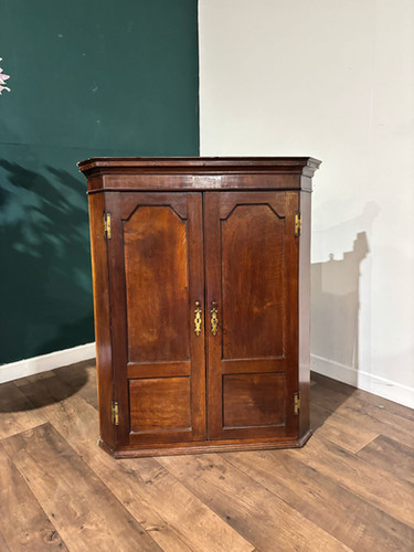 19th Century Mahogany Shelved Corner Cabinet